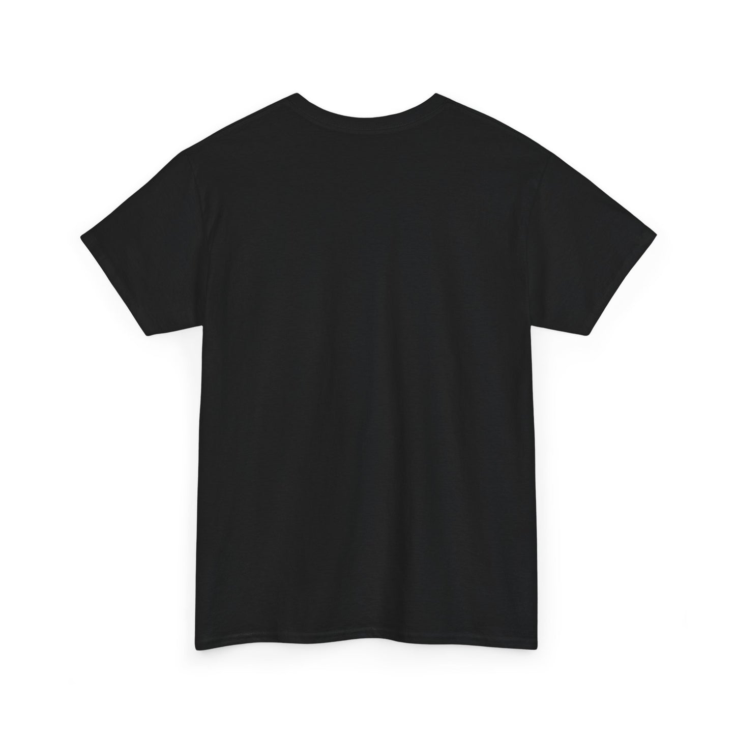 Raven Unisex Tee - Flying between Worlds Design