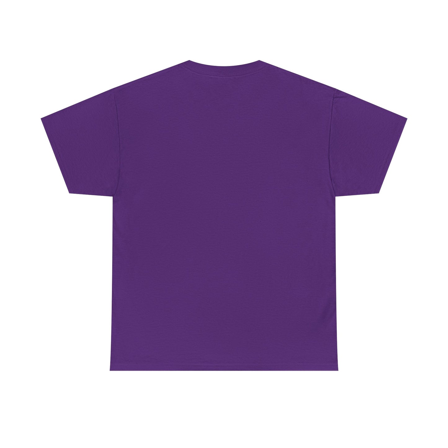 Raven Unisex Tee - Flying between Worlds Design