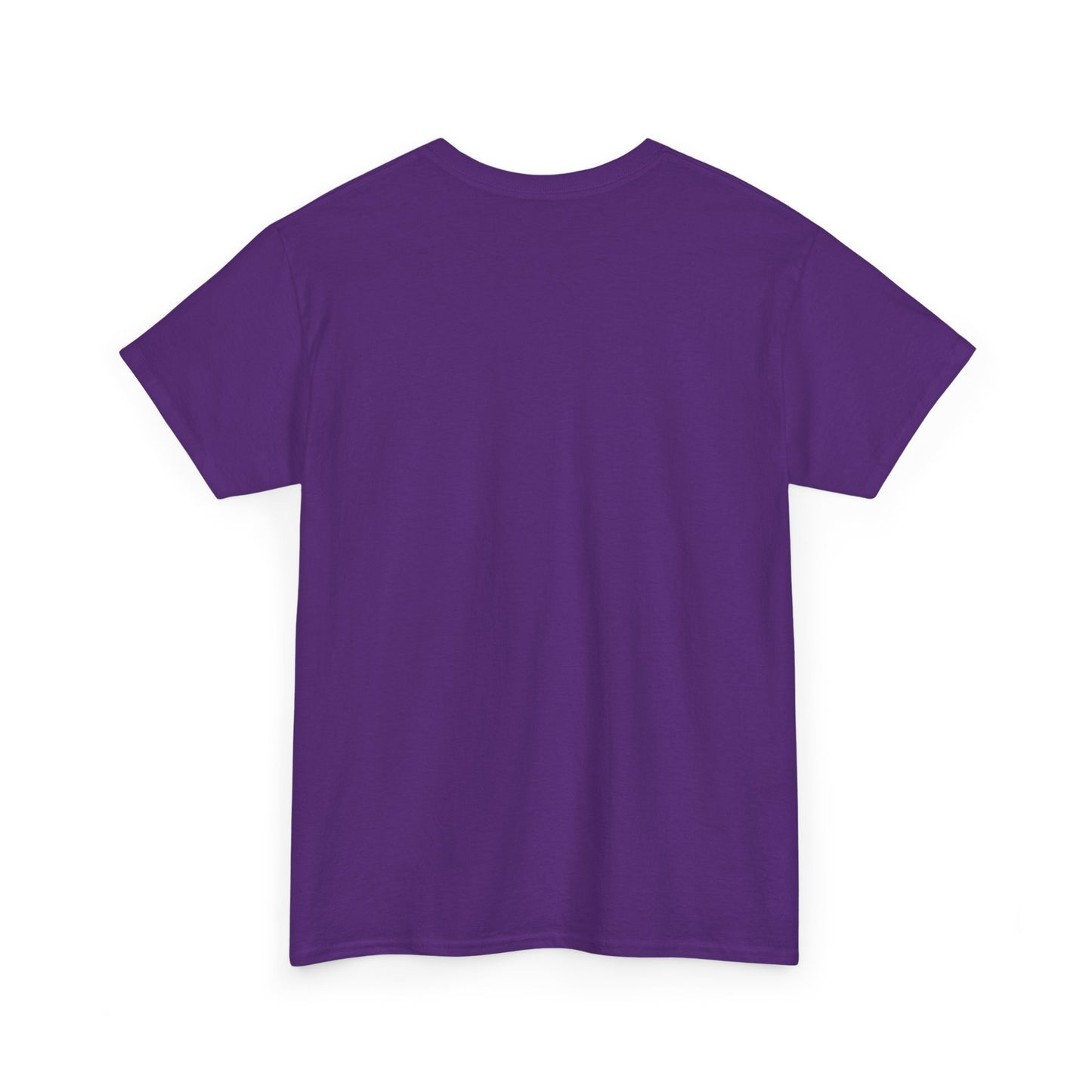 Raven Unisex Tee - Flying between Worlds Design